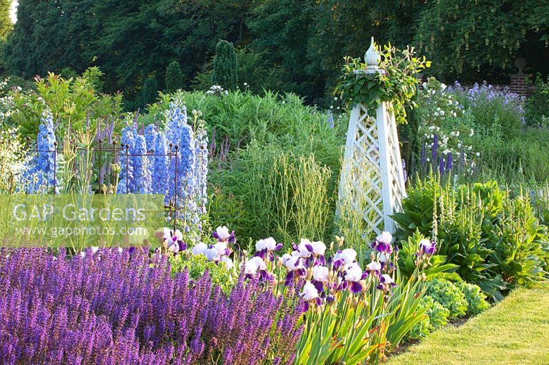 Lit avec Delphinium Summer Skies, Delphinium Camelot, Salvia nemorosa Mainacht, Iris barbata Braithwaite, Clematis 