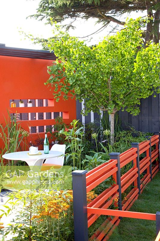 Jardin moderne avec Ginkgo, Ginkgo biloba, Achillea Terracotta 