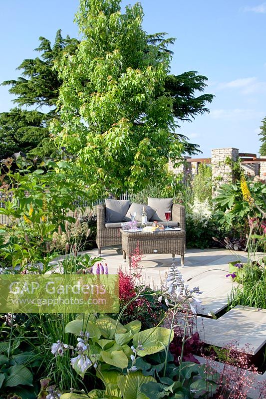 Terrasse assise, Acer platanoides, Astilbe, Hosta 