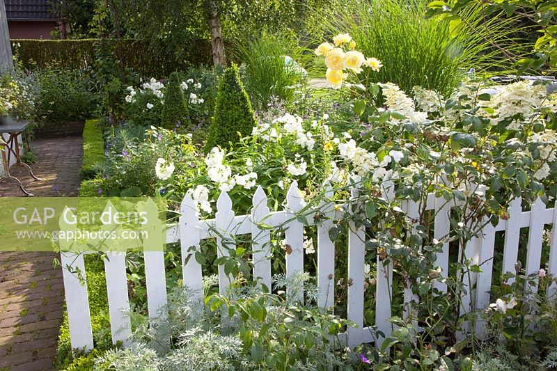 Jardin de devant avec hortensia, buxus, phlox, Hydrangea paniculata Unique 