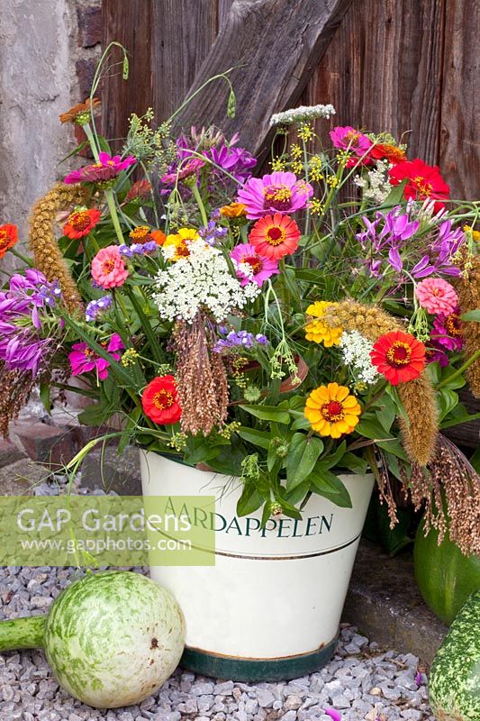 Bouquet avec Zinnia elegans, Foeniculum vulgare, Daucus carota, Panicum miliaceum Violaceum, Setaria italica 