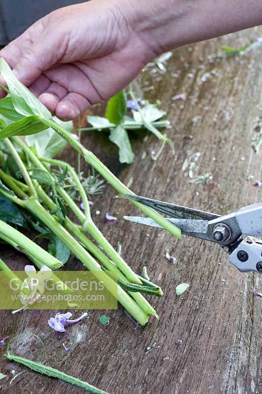 Réalisez un bouquet de fleurs du jardin, coupez les tiges en diagonale 