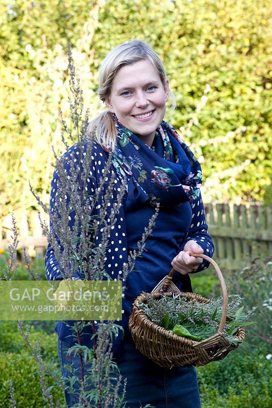 Propriétaire de jardin, femme récoltant des herbes 
