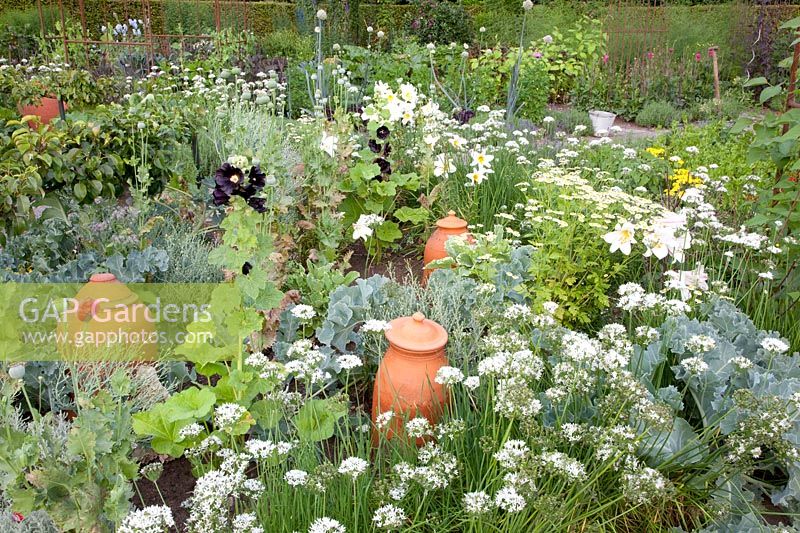 Jardin de chalet avec légumes et fines herbes, Allium tuberosum, Lilium regale, Crambe maritima 