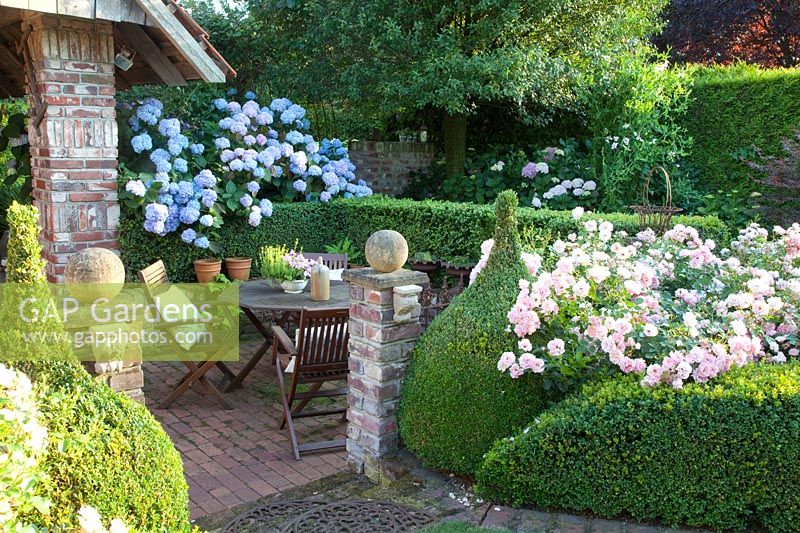 Terrasse dans le jardin, Vent d'été rose, Hydrangea macrophylla Endless Summer, Buxus 
