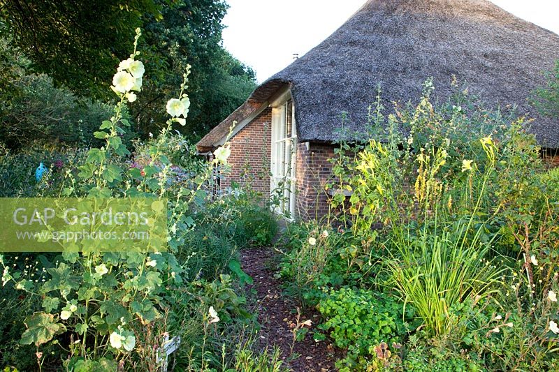 Maison de campagne avec lit d'herbes jaunes 