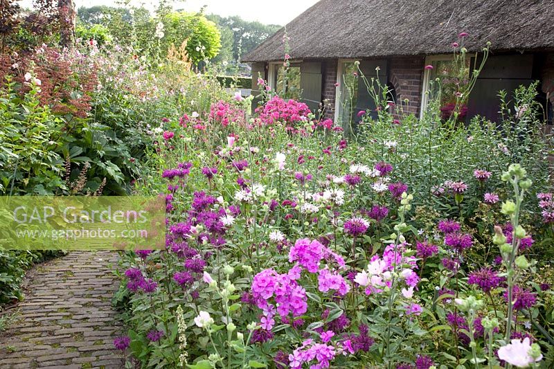 Jardin de devant avec plantes vivaces, Monarda Violetta, Phlox 