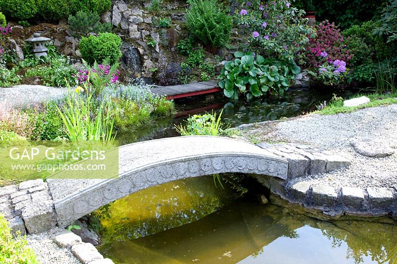 Jardin de style japonais avec étang 
