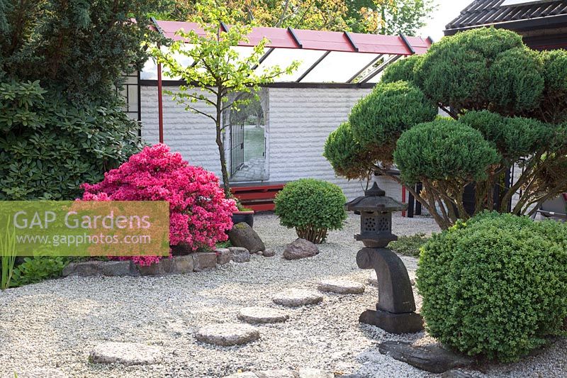 jardin japonais 