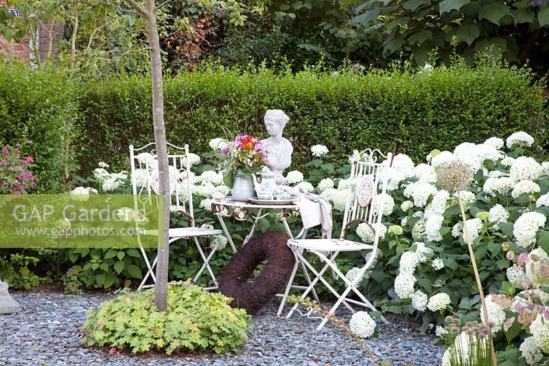 Assise avec hortensias, Hydrangea arborescens Annabelle 