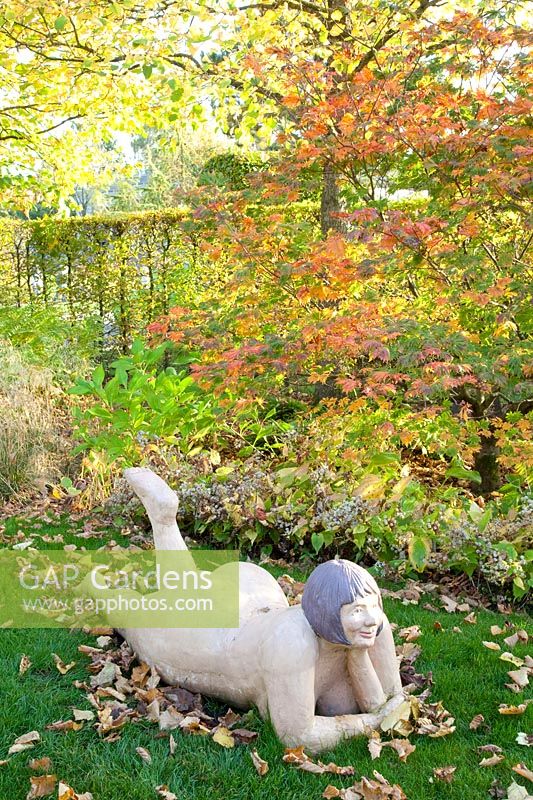 Jardin d'automne avec sculpture, Acer, Aster divaricatus 