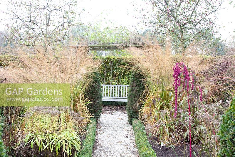 Jardin en novembre avec Pipe Grass, Molinia arundinacea Transparent 