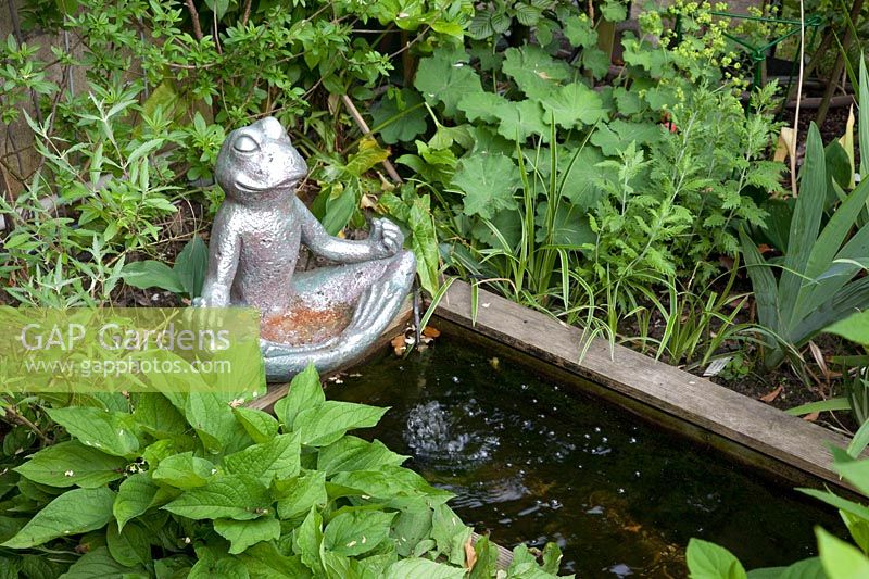 Petite grenouille Bouddha dans une piscine d'eau 