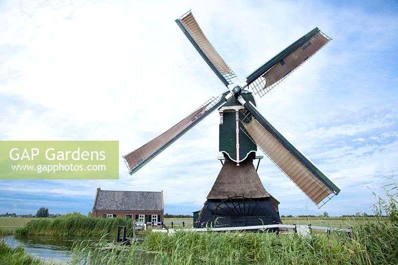 De Middelste Molen, moulin à vent à Cabauw, Pays-Bas 