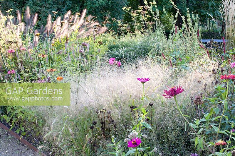 Lit avec gazon, Deschampsia cespitosa 