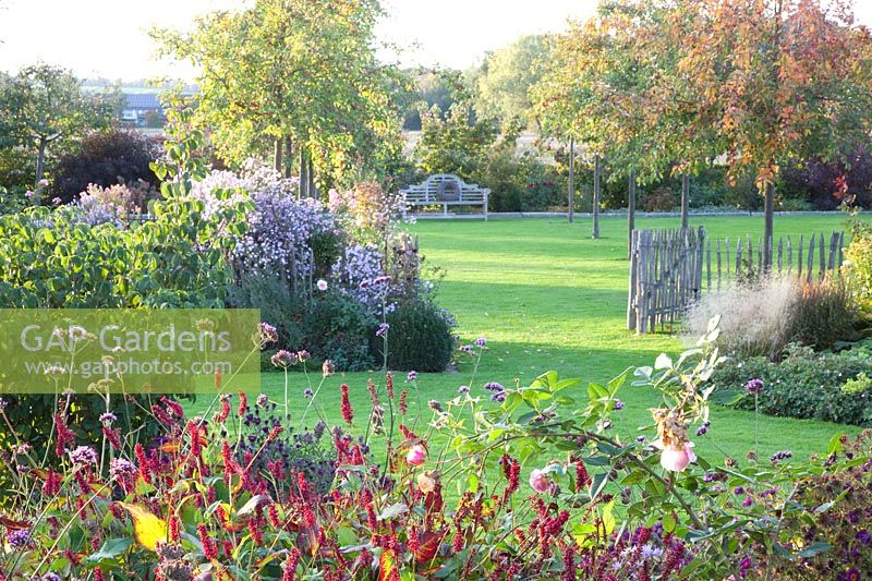 Jardin en automne avec plantes vivaces et pommetiers, Malus Evereste 