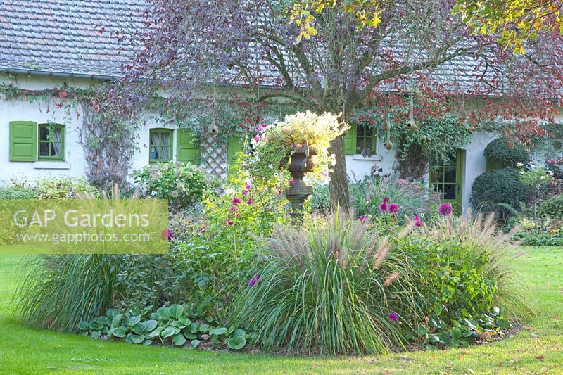 Jardin de devant avec lit insulaire, Pennisetum alopecuroides Black Beauty 