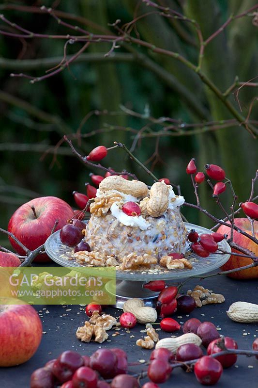 Petit gâteau aux graines d'oiseau avec garniture de suif de bœuf 