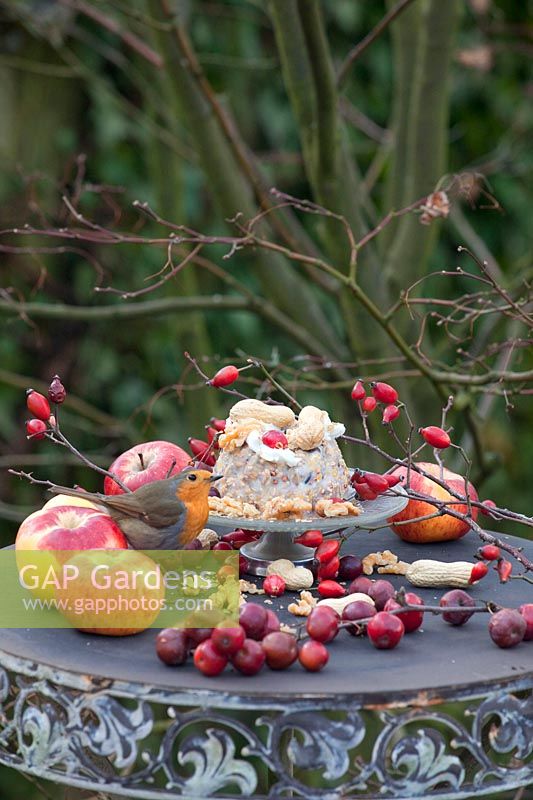 Petit gâteau pour oiseaux aux merles 