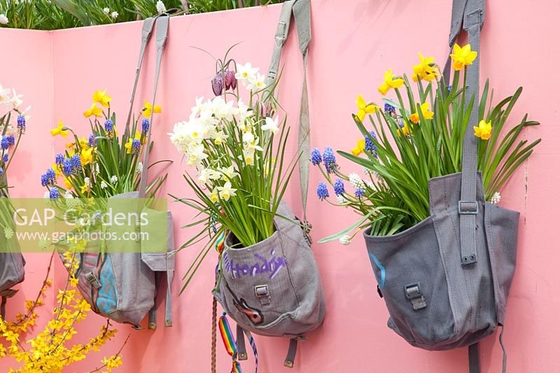 Fleurs d'oignon dans des sacs peints 