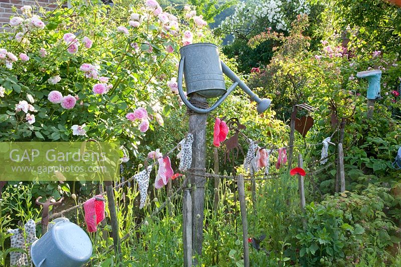 Décoration de jardin champêtre, Rosa James Galway 