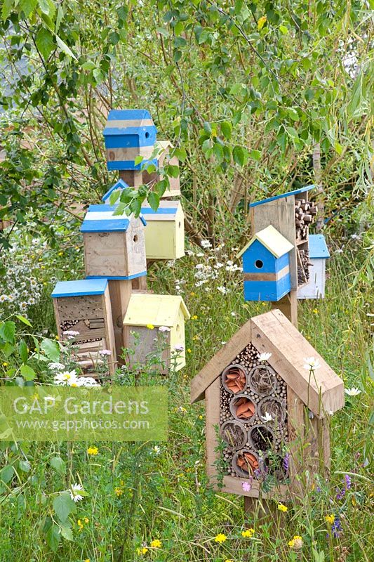 Nichoirs à oiseaux et hôtel à insectes dans le jardin naturel 