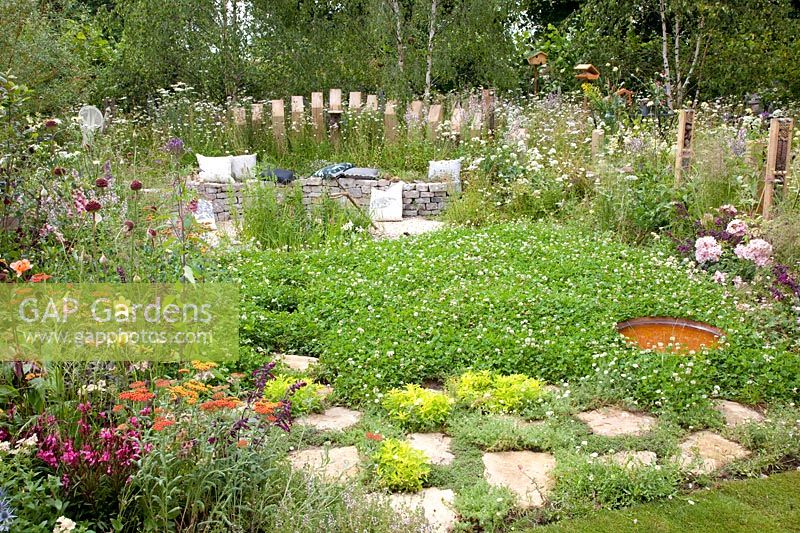 Jardin naturel avec trèfle et herbes comme couvre-sol 