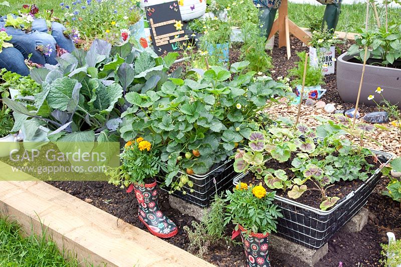 Légumes et fraises dans des jardinières recyclées 