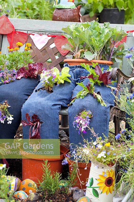 Jeans planté de laitue et de fleurs 