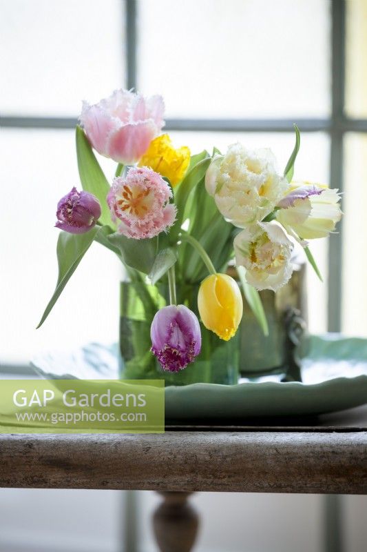Mélange de tulipes frangées dans des vases verts exposés.Petit bouquet de fleurs. 