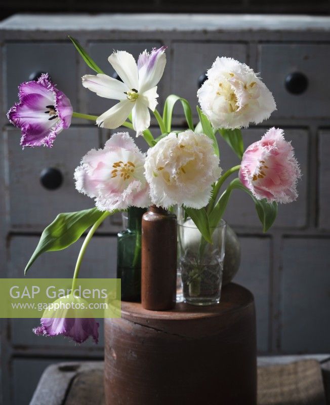 Mélange de tulipes frangées dans de petits vases exposés. Rayon de soleil qui brille sur le bouquet de fleurs. Cultivés localement. 