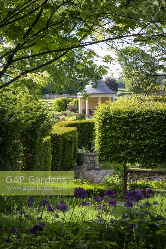 Vue sur jardin à la française avec haie taillée et pavillon d'été, avec Allium 'Purple Sensation' au premier plan. 