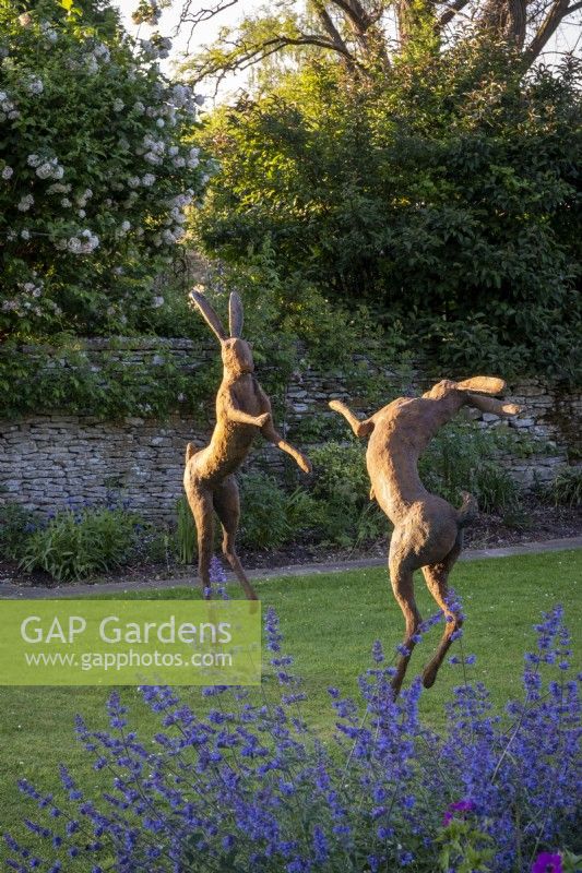 Statue 'Boxing Hares' de Miranda Michels avec Nepeta racemosa 'Walker's Low' 