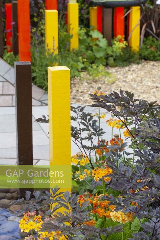 Poteaux peints en jaune, marron et rouge entourés de fleurs et de feuillages jaunes, marron et rouges tels que Sambucus et Primula dans le jardin 'In the Loop' du BBC Gardener's World Live 2015 