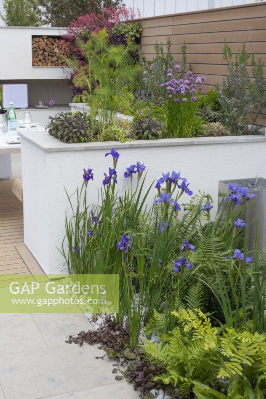 Espace de vie extérieur avec parterre de fleurs surélevé avec jardin d'herbes aromatiques, iris et fougères au premier plan, dans le jardin 'Sociabilité' du BBC Gardener's World Live 2015, juin 