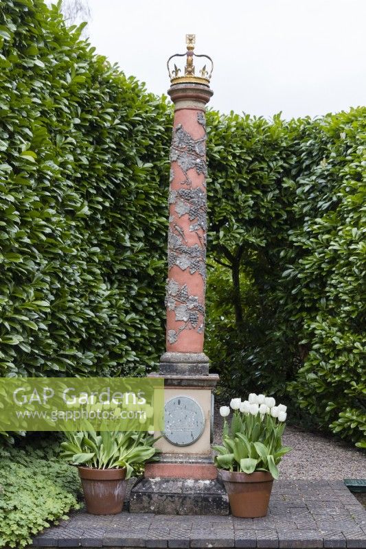 Les colonnes couronnées Elizabeth I et II adossées à une haie de Laurier. Pots en terre cuite plantés de Tulipa 'Virgin Queen'. Avril. Printemps. 