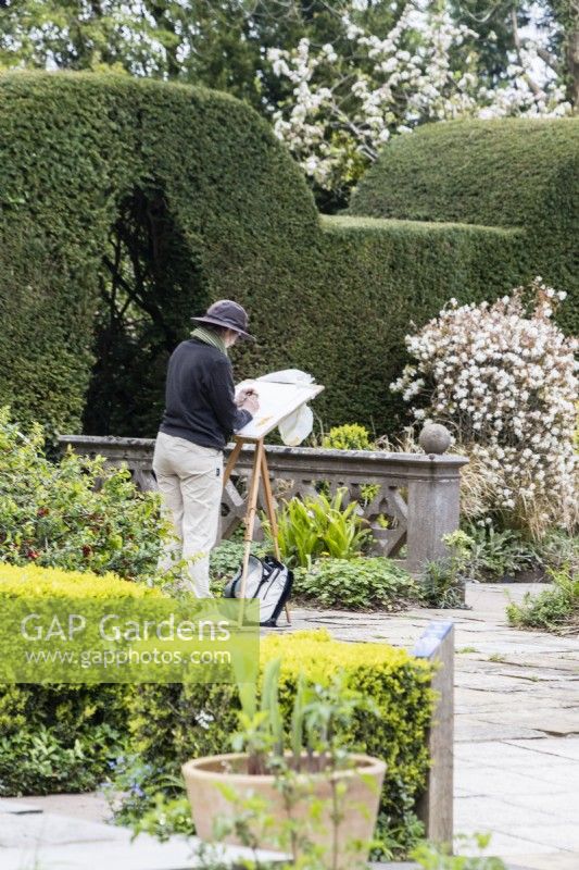 L'artiste en résidence Clair Hodgson dessine dans le jardin d'if. Avril. Printemps. 