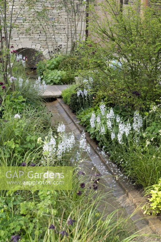 Le jardin des Cotswolds au RHS Malvern Spring Festival 2024. Conçu par Mark Draper Graduate Gardeners Ltd 