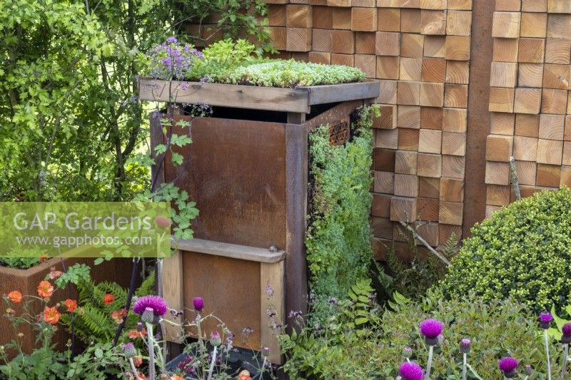 Bac à compost fait de charbon recyclé, d'acier Corten et de bois avec toit en sedum et côté contre mur d'enceinte fabriqué à partir de chutes de sapin de Douglas - 'Ça n'a pas à coûter la Terre' - designer Michael Lote - RHS Malvern Spring Festival 2024 