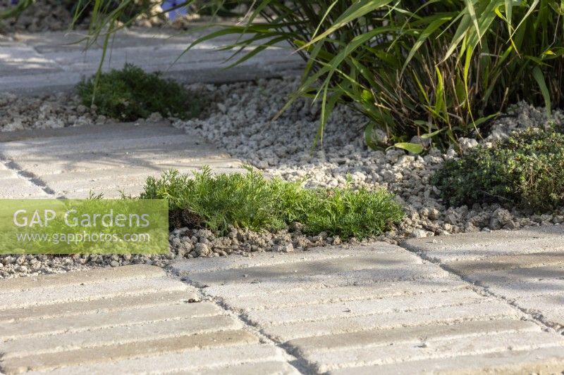 Pavage fabriqué à partir de chutes de Yorkstone serties dans du sable de verre recyclé avec Chamaemelum nobile - 'Ça ne doit pas coûter la Terre' - designer Michael Lote - RHS Malvern Spring Festival 2024 