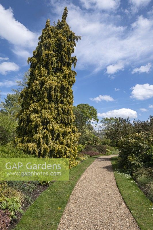 Jardins botaniques de Cambridge Angleterre Royaume-Uni. Vues générales. 