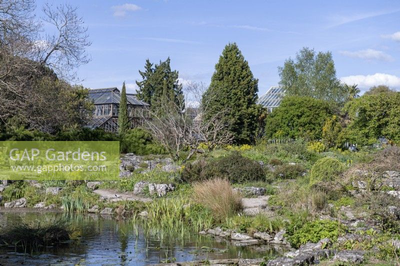 Jardins botaniques de Cambridge Angleterre Royaume-Uni. Vues générales. Bassin et rocaille 