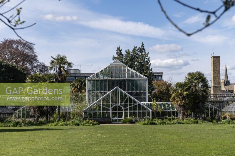 Jardins botaniques de Cambridge Angleterre Royaume-Uni. Vues générales. Maisons de verre. 
