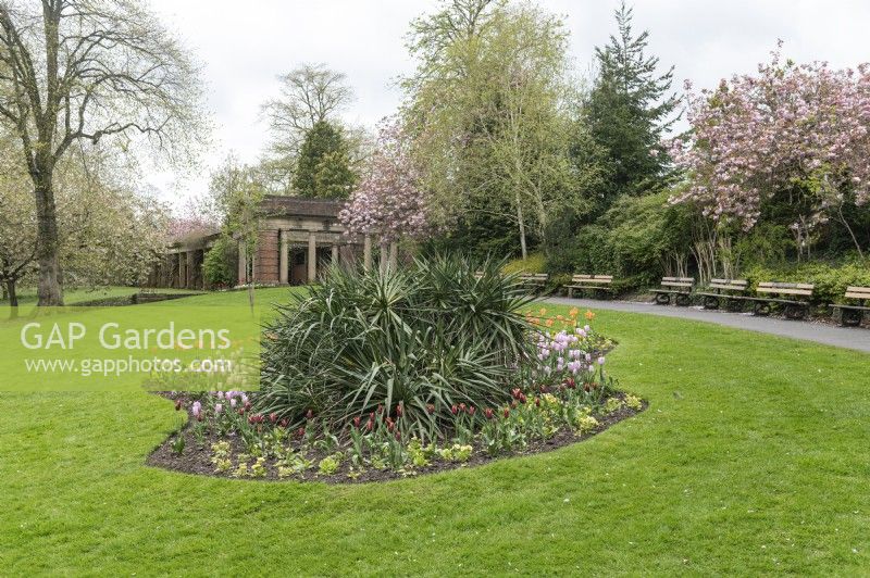 Valley Gardens Harrogate Yorkshire Angleterre Royaume-Uni. Vues générales.Parterre de fleurs circulaire avec des annuelles printanières de tulipes 