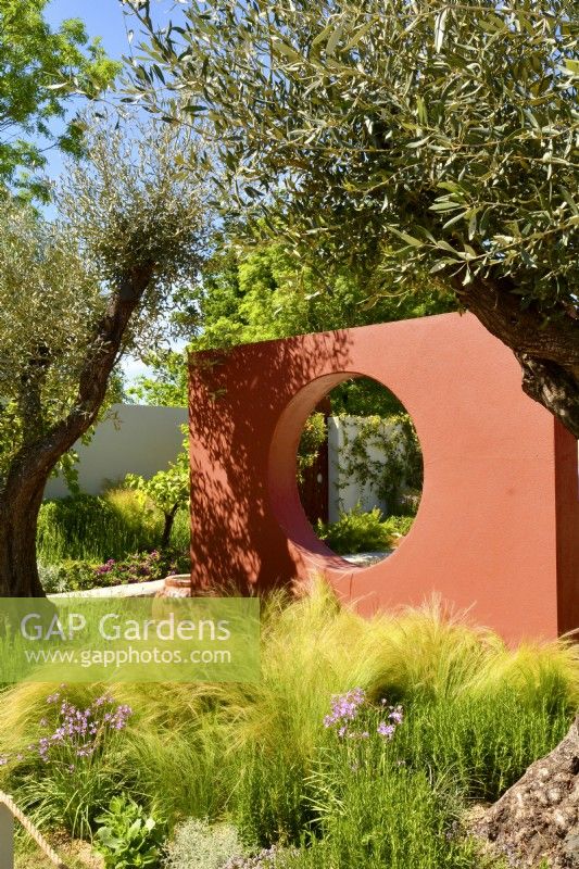 Un mur de compartiment orange avec une fenêtre circulaire ouverte, une sous-plantation de Stipa tenuissima et de grands oliviers dans un jardin méditerranéen. JuneDesigner - Alan Rudden 