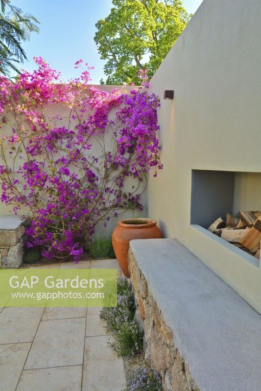 Un coin dans le patio avec des Bougainvilliers spectabilis en fleurs grimpant sur le mur et la cheminée dans le jardin méditerranéen. JuinDesigner : Alan Rudden 