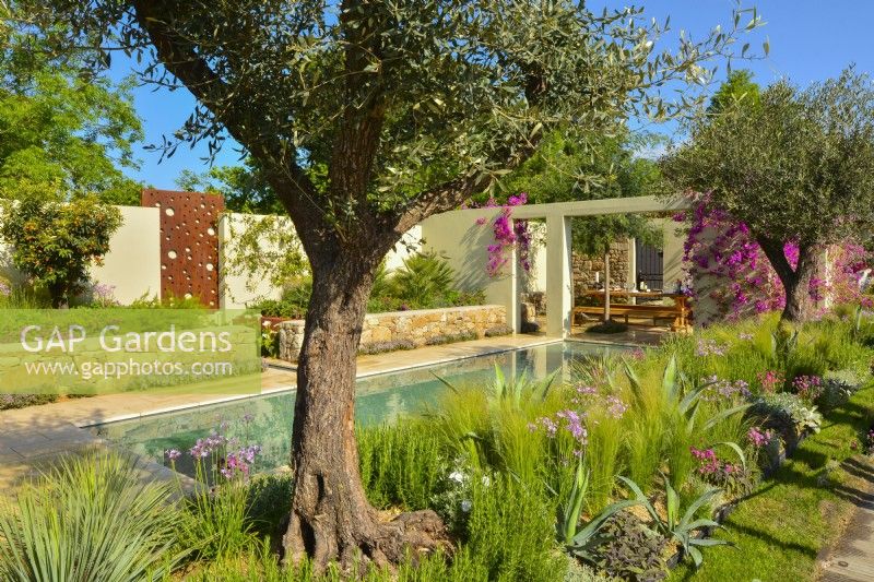 Vue sur jardin méditerranéen avec grande piscine. JuinDesigner : Alan Rudden 