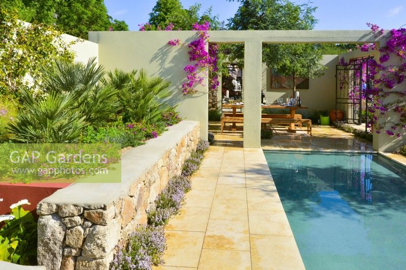 Vue sur jardin méditerranéen avec patio, grande piscine, parterre de fleurs en pierres avec plantes exotiques comprenant Chamaerops humilis. JuinDesigner : Alan Rudden 