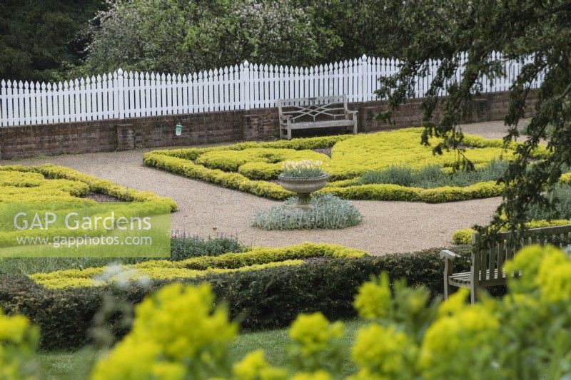 Parterre de buis du jardin Mount Vernon avec clôture peinte en blanc. Peut. Printemps 