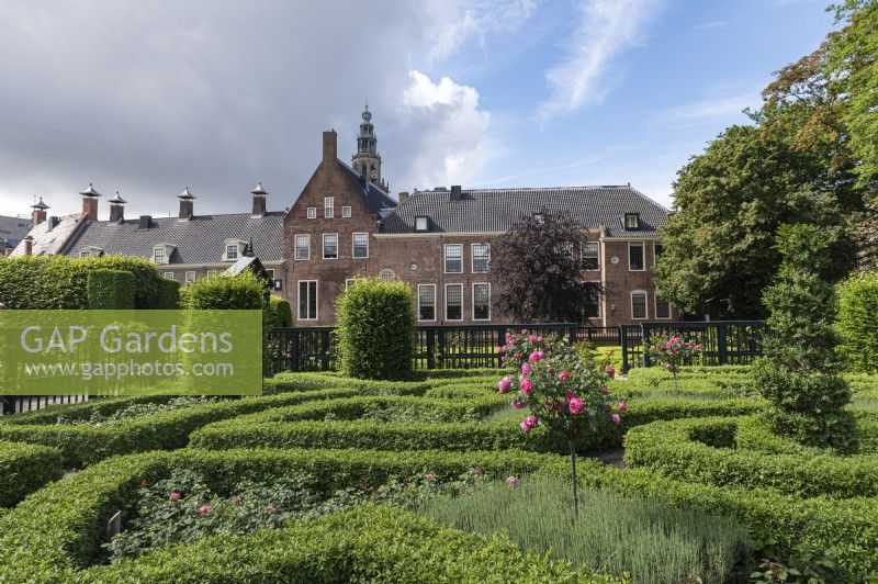 Groningue aux Pays-Bas Prinsenhoftuin / Prinsentuin (jardins du Prince) jardins formels de la Renaissance au centre de la ville. Roseraies. 